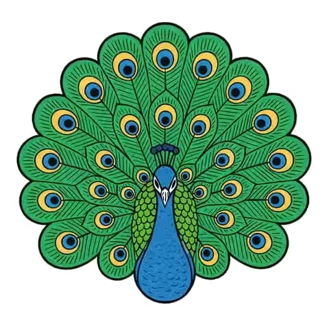 Logo brodé personnalisé, étape 2 : paon redessiné en vectoriel